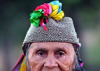Lengua mapuche: el enigma de su origen y otras 4 singularidades del mapudungún