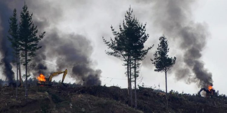 Alcalde de Lebu tras ataque incendiario: «En la provincia de Arauco, la gente vive en el terror»