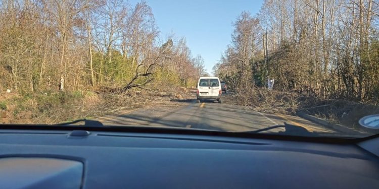 Destruyen camión con carga de combustible durante ataque incendiario entre Curacautín y Victoria