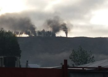 Presidente de Asoc. de Contratistas Forestales por ataque en Lebu: Fue «un Ejército de terroristas»