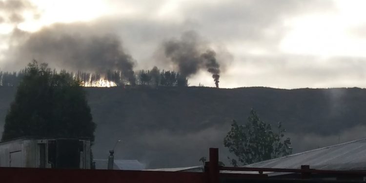 Presidente de Asoc. de Contratistas Forestales por ataque en Lebu: Fue «un Ejército de terroristas»