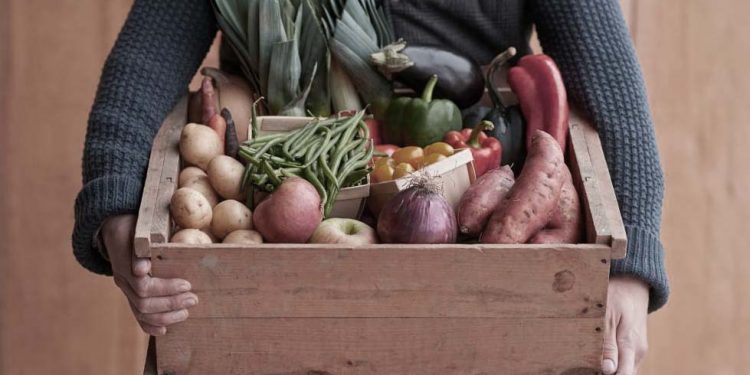 ¿Por qué el trafkintun mapuche va más allá del trueque?