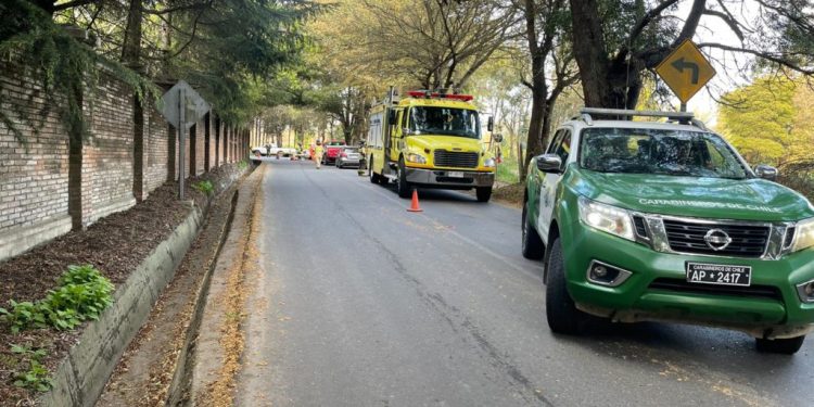 Dos muertos y un lesionado deja choque de vehículo contra un árbol en Angol