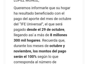 «Estimado Mario»: Reportan error en sistema de beneficio IFE Universal tras correos masivos