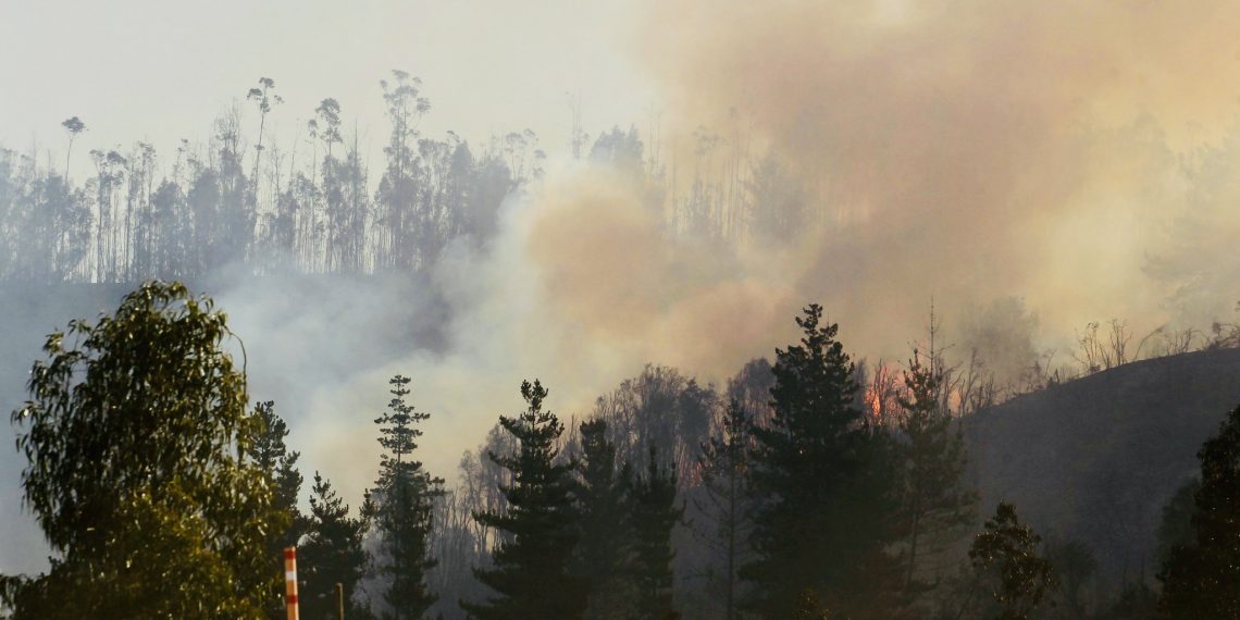 Fuerza de combate de CMPC trabaja en incendios rurales del Biobío y La Araucanía