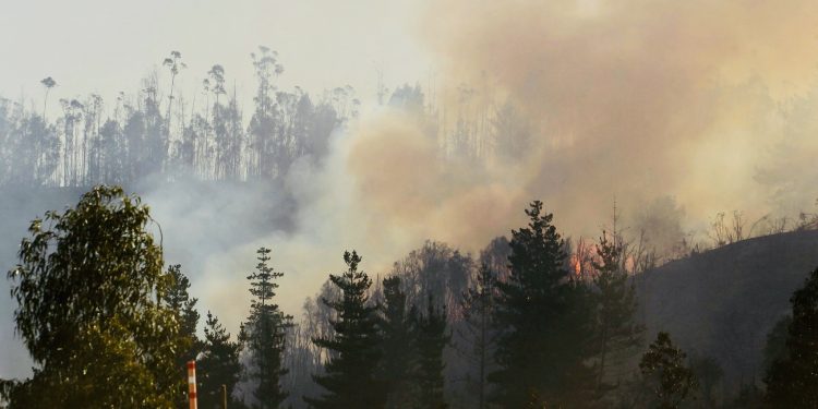 Fuerza de combate de CMPC trabaja en incendios rurales del Biobío y La Araucanía 