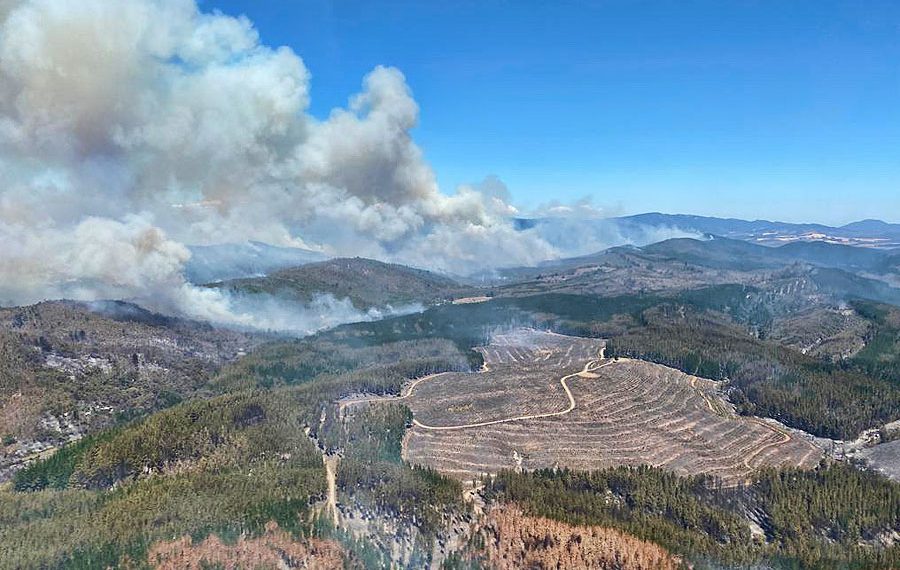 Alcalde de Los Sauces acusa que incendios forestales son «algo intencional» y que han «disparado a Bomberos»