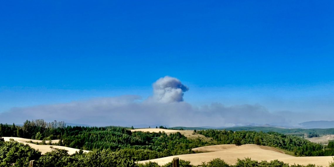 Alerta Roja en Los Sauces y Angol por violento incendio forestal que ya consumió 857 hectáreas 