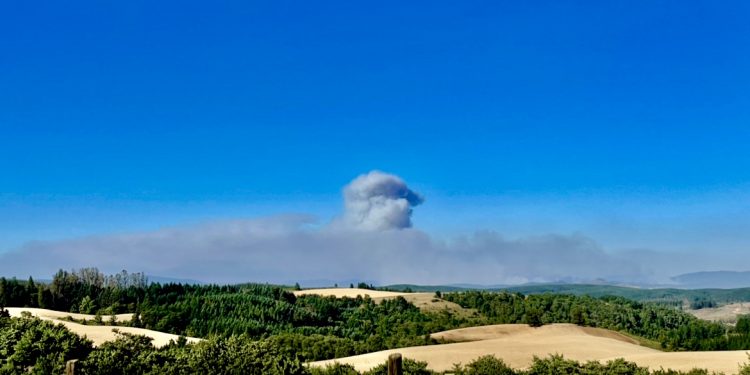 Alerta Roja en Los Sauces y Angol por violento incendio forestal que ya consumió 857 hectáreas