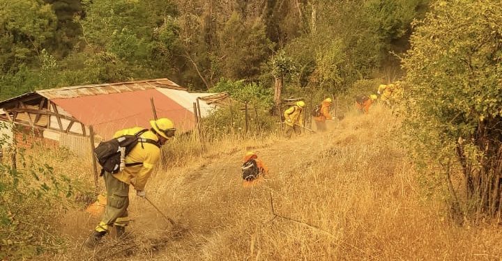 CMPC combate incendio en La Araucanía con 494 brigadistas, 1 Chinook y 6 aviones