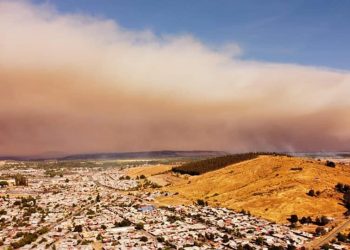 Incendio en Los Sauces ya consumió 9 mil hectáreas de la Región de Araucanía 