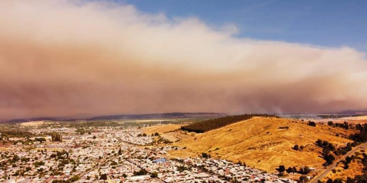 Incendio en Los Sauces ya consumió 9 mil hectáreas de la Región de Araucanía