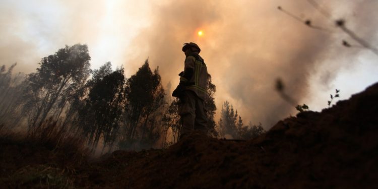 Hombre está en riesgo vital con el 96% de su cuerpo quemado tras incendio forestal en Victoria