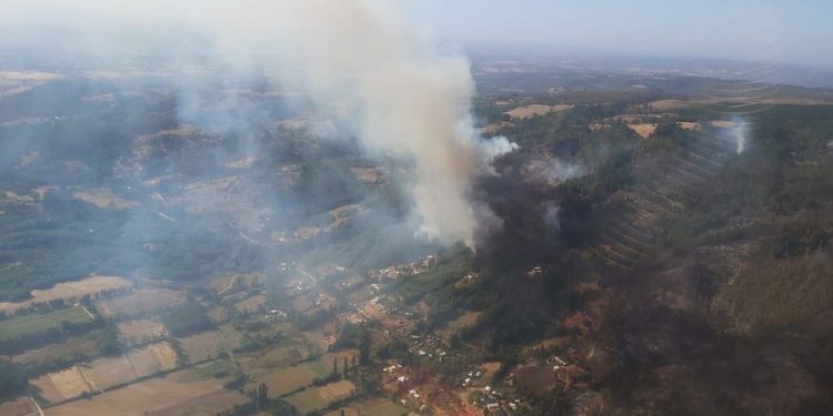Incendios forestales en La Araucanía dejan al menos 14 personas damnificadas y 6 viviendas afectadas