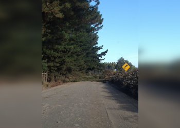 Ataque incendiario deja intransitable puente en Victoria: destruyeron restos de escuela Pailahueque