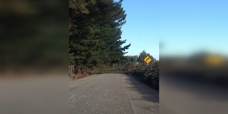 Ataque incendiario deja intransitable puente en Victoria: destruyeron restos de escuela Pailahueque