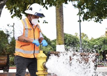 Aguas Araucanía renovó más de 90 grifos para asegurar su operatividad frente a emergencias