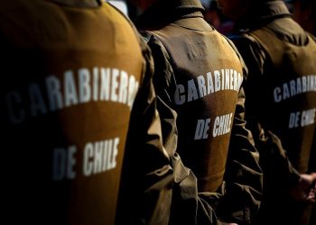 Incendio de pastizales dejó al descubierto plantación de marihuana en Angol: se incautó una escopeta