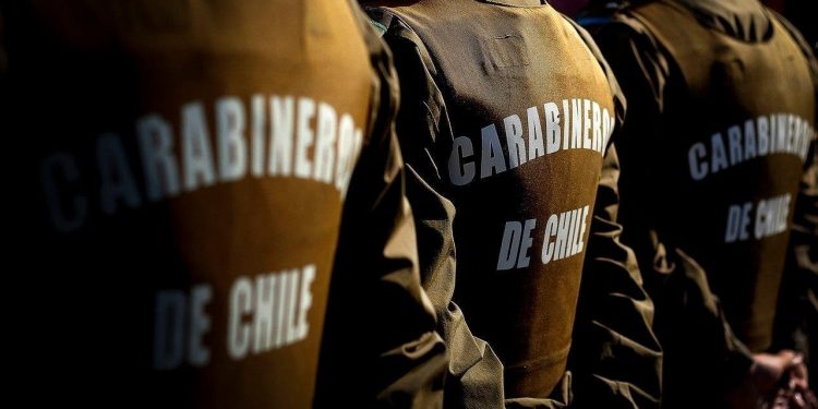 Incendio de pastizales dejó al descubierto plantación de marihuana en Angol: se incautó una escopeta