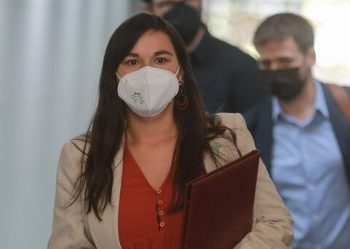 «Demuestra voluntad política inédita»: gremios forestales del Bío Bío tras reunión con Izkia Siches