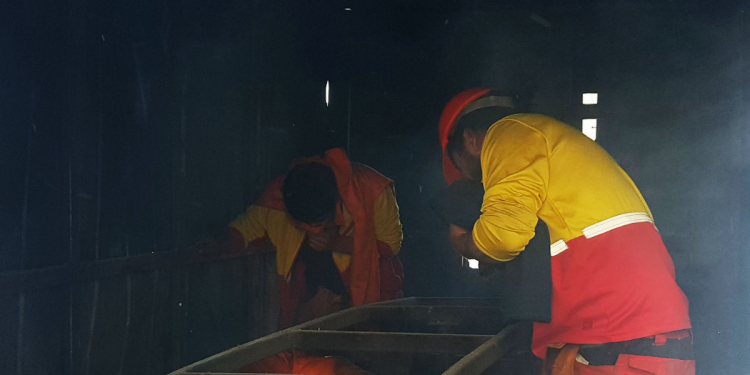 Dos cabañas destruidas y una casa con daños tras dos ataques incendiarios en provincia de Arauco