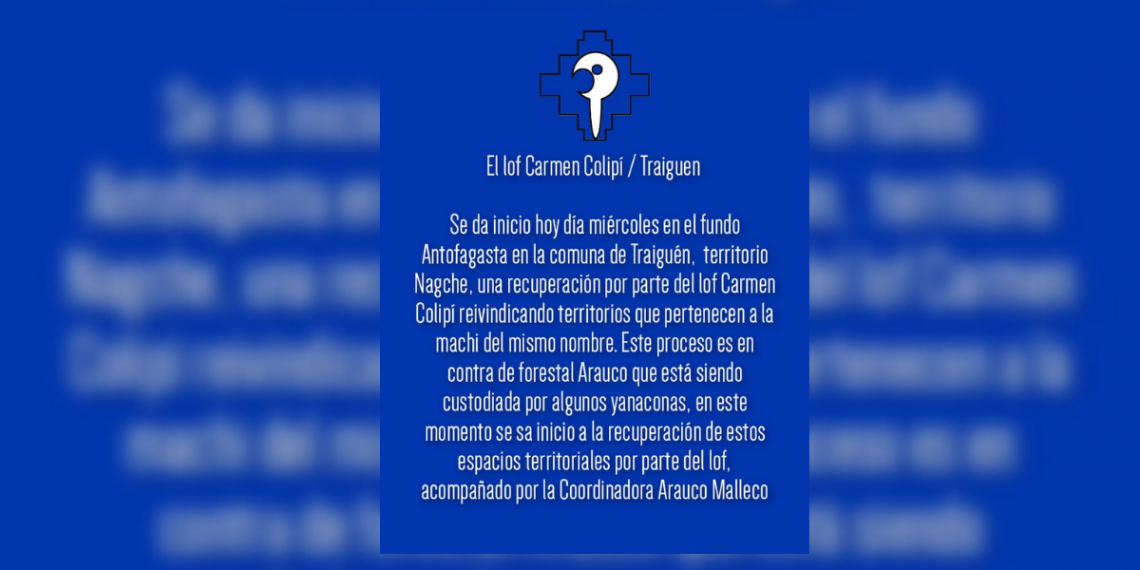 Con apoyo de la CAM: comunidades mapuches realizan ocupación de fundo de Bosques Arauco en Traiguén