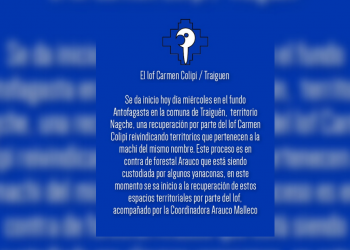 Con apoyo de la CAM: comunidades mapuches realizan ocupación de fundo de Bosques Arauco en Traiguén