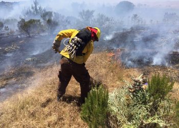 Encapuchados armados atacan a personal Conaf y Carabineros en incendio de Arauco
