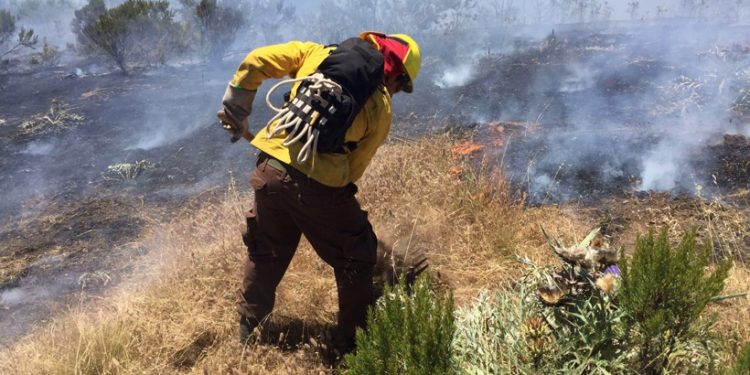 Encapuchados armados atacan a personal Conaf y Carabineros en incendio de Arauco