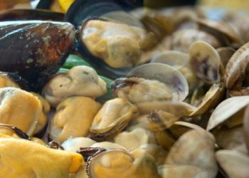 Dos detenidos deja caso de marea roja en que murió niño en Puerto Montt: hay 5 hospitalizados