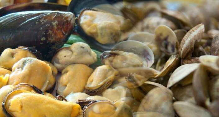 Dos detenidos deja caso de marea roja en que murió niño en Puerto Montt: hay 5 hospitalizados