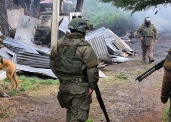 Contratistas forestales aseguran que marzo fue el mes más violento desde enero de 2014 tras ataques