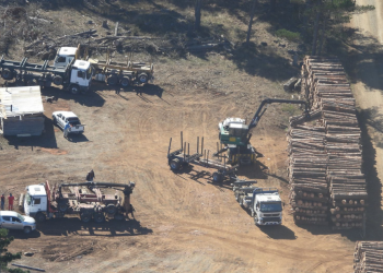 Sujetos se toman Ruta 160 en protesta por fiscalización a camiones vinculados al robo de madera