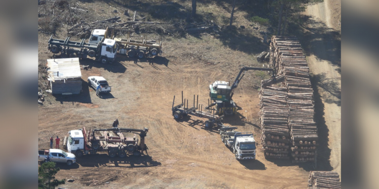 Sujetos se toman Ruta 160 en protesta por fiscalización a camiones vinculados al robo de madera