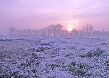 Heladas de hasta -5°C: aumentan a 8 las regiones con alerta por ola de frío