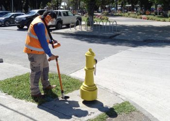 Aguas Araucanía detectó más de 170 conexiones irregulares de agua potable