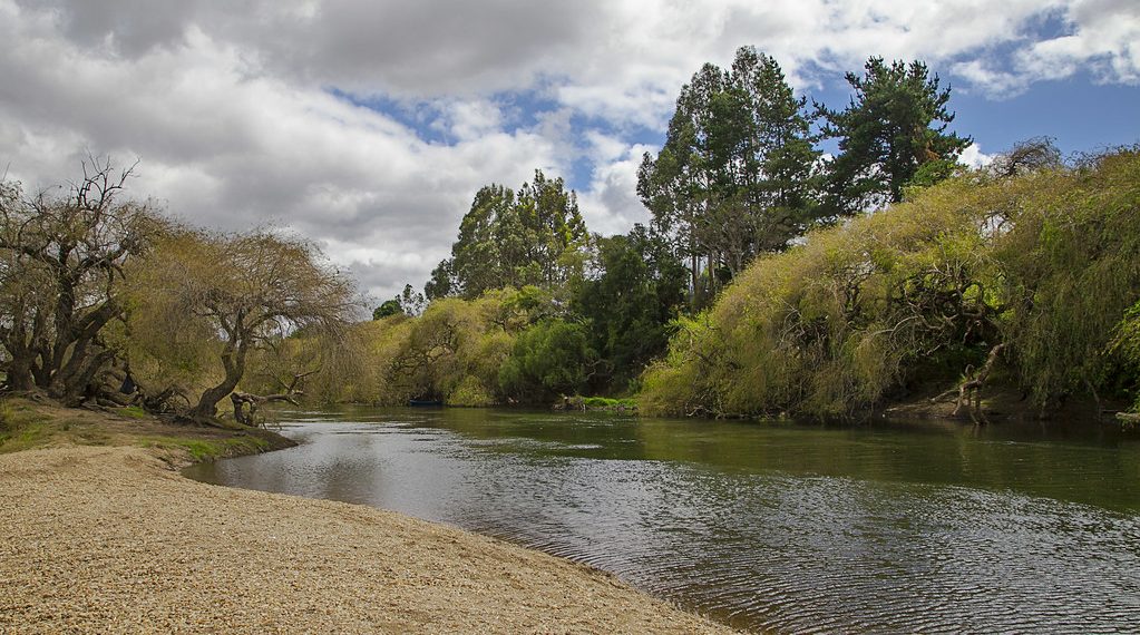 Coeva rechaza construcción de tres embalses para proyecto frutícola de Juan Sutil en Galvarino