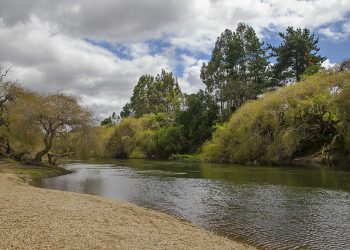 Coeva rechaza construcción de tres embalses para proyecto frutícola de Juan Sutil en Galvarino￼