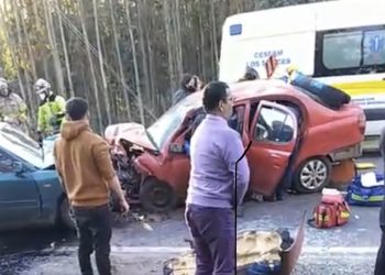 Mujer embarazada fallece en accidente de tránsito en ruta Los Sauces – Purén