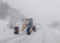 Decretan Alerta Temprana Preventiva por nevadas en La Araucanía