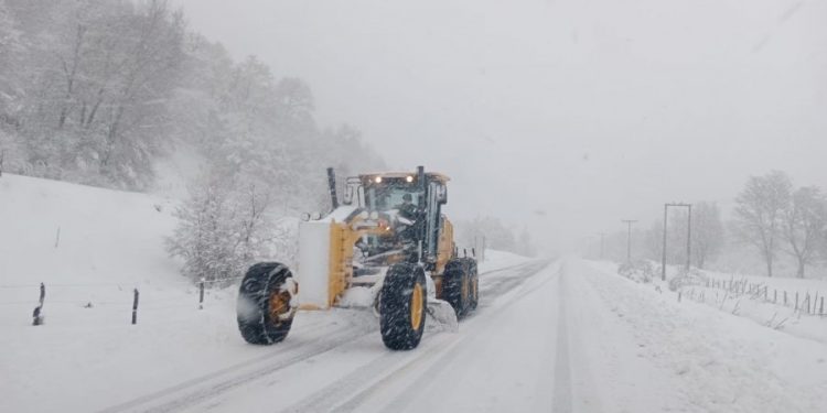 Decretan Alerta Temprana Preventiva por nevadas en La Araucanía