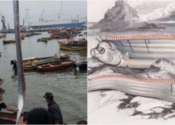 Encuentran un pez remo en Arica: ¿Por qué es presagio de terremotos y catástrofes?