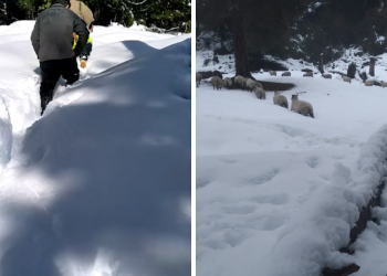 Más de 2.000 personas están aisladas en La Araucanía y parque Villarrica sigue cerrado por nevadas