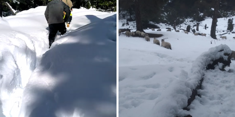 Más de 2.000 personas están aisladas en La Araucanía y parque Villarrica sigue cerrado por nevadas