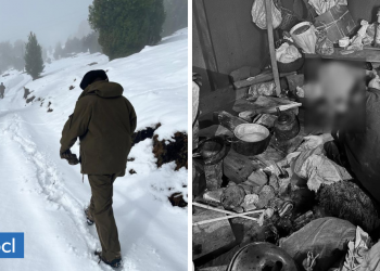 Carabineros encuentra a adulta mayor sola y aislada en sector cordillerano de Panguipulli