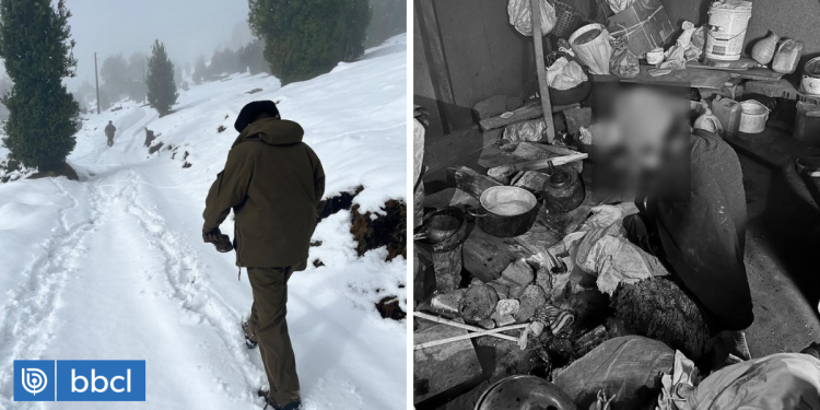 Carabineros encuentra a adulta mayor sola y aislada en sector cordillerano de Panguipulli