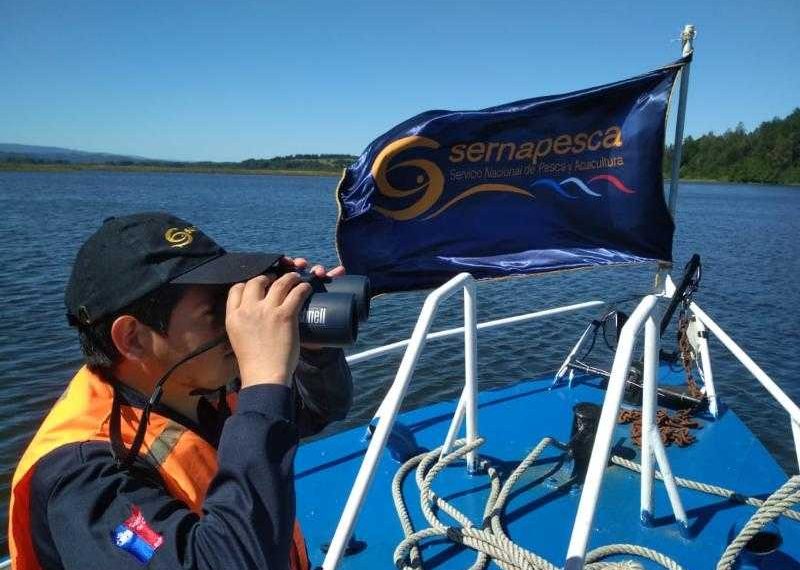 «Es una falta grave»: Incautan 52 kilos de recursos marinos en sobrexplotación en Teodoro Schmidt