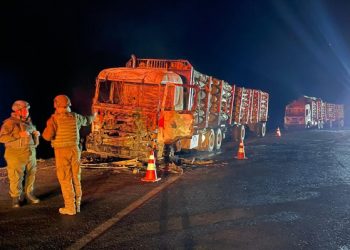 CNTC emplaza a presidente Boric a «dar la cara» tras ataque que dejó camiones destruidos en Malleco