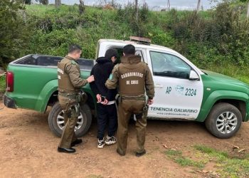 Embarazada en riesgo vital tras ser golpeada en Galvarino: su hermano fue detenido como autor