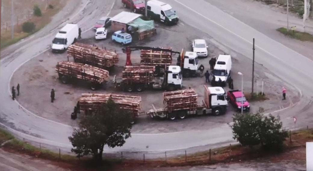 Desbaratan organización dedicada al robo de madera en el Bío Bío y La Araucanía: 12 detenidos